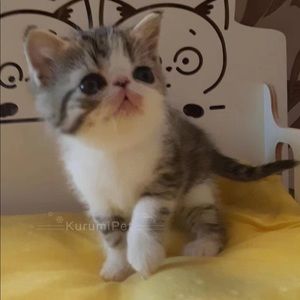 Meet your Posher, Julia